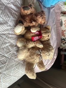 Teddies