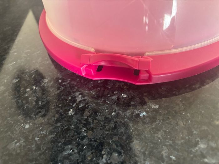 Cake Transporter/ Case