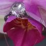Antique Diamond 18ct White Gold Solitaire Ring Image 6