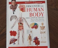 Human body discovery