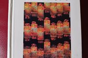 Lectures on Materia Medica / James Tyler Kent/ 2002