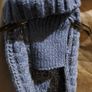 Dog jumper & hat small Image 2