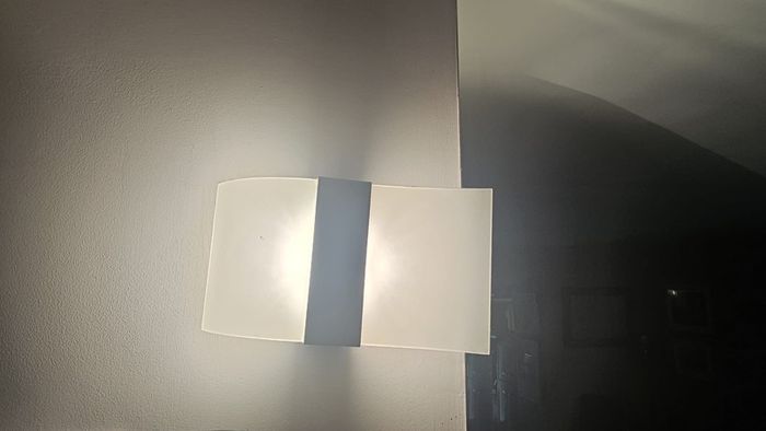 Frosted glass & steel wall light