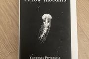 Pillow Thoughts by Courney Peppernell