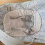 Baby bouncer Image 6