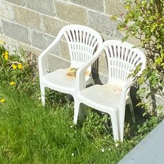 Garden chairs