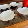 8 Vintage French White Porcelain Scallop Shell Dishes CNP France Image 10