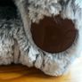 cat Image 3