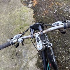 ladies bike