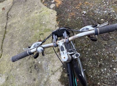 ladies bike