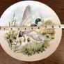 China decorative Mallard Duck Picture plate Image 3