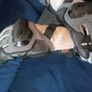New Motorcycle Gloves YAMAHA 25 Sport Touring Image 5