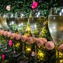 Prosecco/champagne wall Image 4