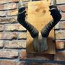 vintage skull Image 6