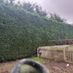 Garden.maintenance