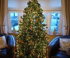 Christmas tree
