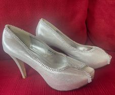 Silver Shoes