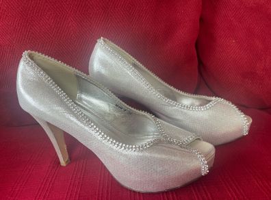 Silver Shoes