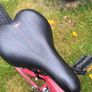 bike Image 3