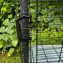 Dog crate Image 5