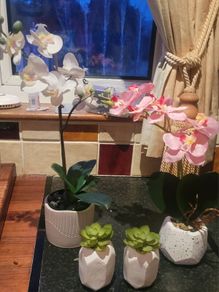 Assorted Artificial Plants in Stone Plant Pots x4