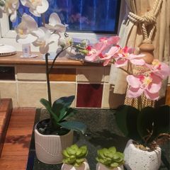 Assorted Artificial Plants in Stone Plant Pots x4