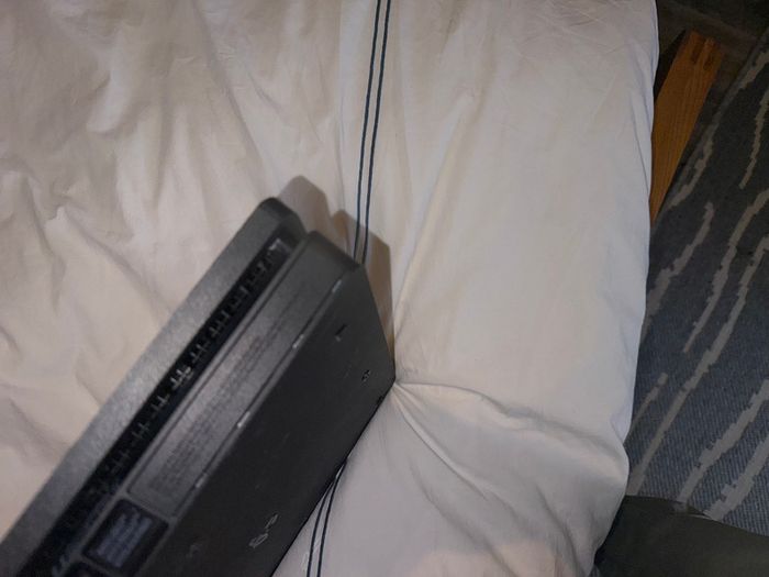 Ps4 With Rdr2