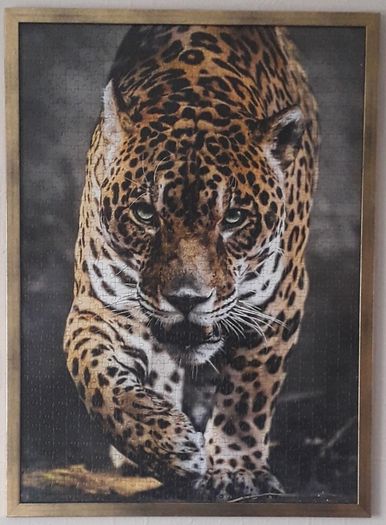 Jaguar Jigsaw Framed with artglass