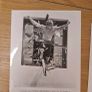 1977 The Incredible Hulk Press Photos Image 2