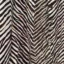 New Shirt Image 2
