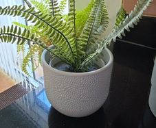 article plant with pot