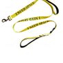 New Double Handle Dog lead Image 7