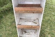 Wooden Bird Cage
