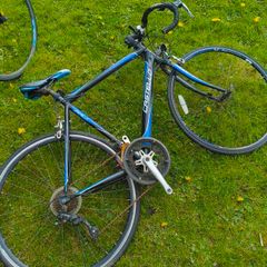 Castello bike need gone