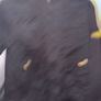 Barbour Black Jacket Image 7