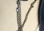 equestrian leads with chains