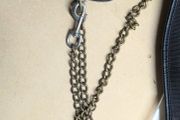 equestrian leads with chains