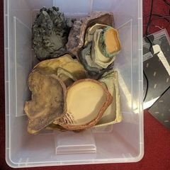 reptile hides and feeding bowls