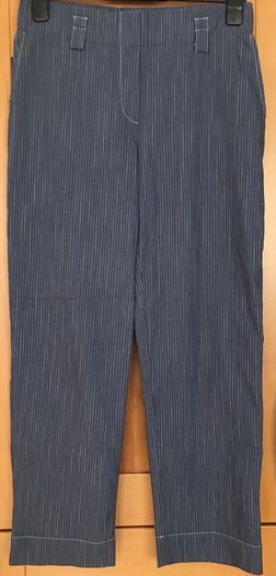 Ladies Blue Striped Ankle Length Trousers by Feria