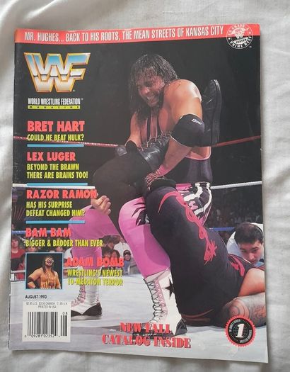 Wwf Magazines 1993