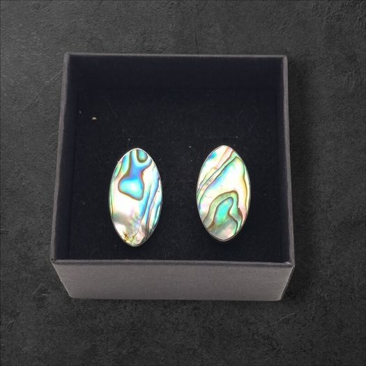 Vintage Abalone Sterling Silver Clip On Earrings