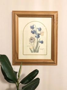Vintage Hyacinth Botanical Print Framed Nederlandsch Bloemwerk Cottagecore Framed Art 12.5x15 inches