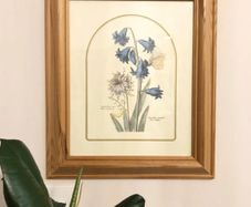 Vintage Hyacinth Botanical Print Framed Nederlandsch Bloemwerk Cottagecore Framed Art 12.5x15 inches