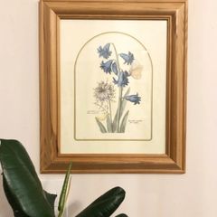 Vintage Hyacinth Botanical Print Framed Nederlandsch Bloemwerk Cottagecore Framed Art 12.5x15 inches