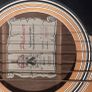 Palmer Guitar with case Image 10