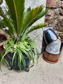 Garden pots