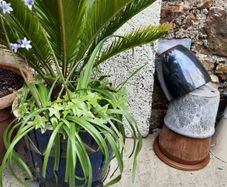 Garden pots