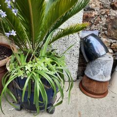Garden pots