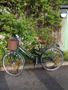 Bicycle Ladies