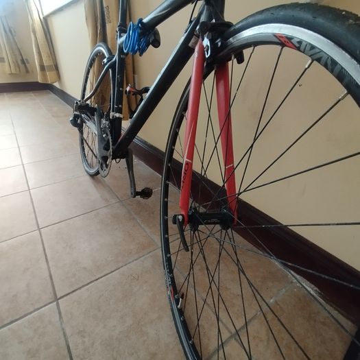 Orbea bike
